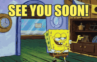 sponge